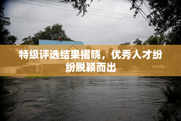 特级评选结果揭晓，优秀人才纷纷脱颖而出