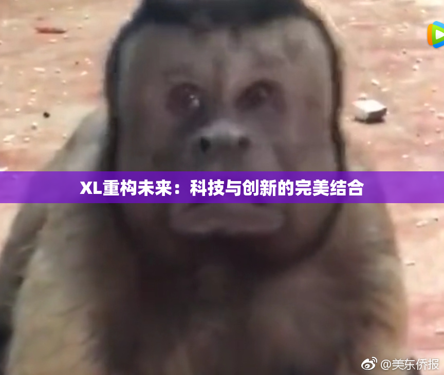 XL重构未来：科技与创新的完美结合