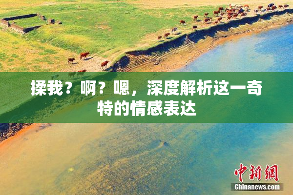 揉我？啊？嗯，深度解析这一奇特的情感表达