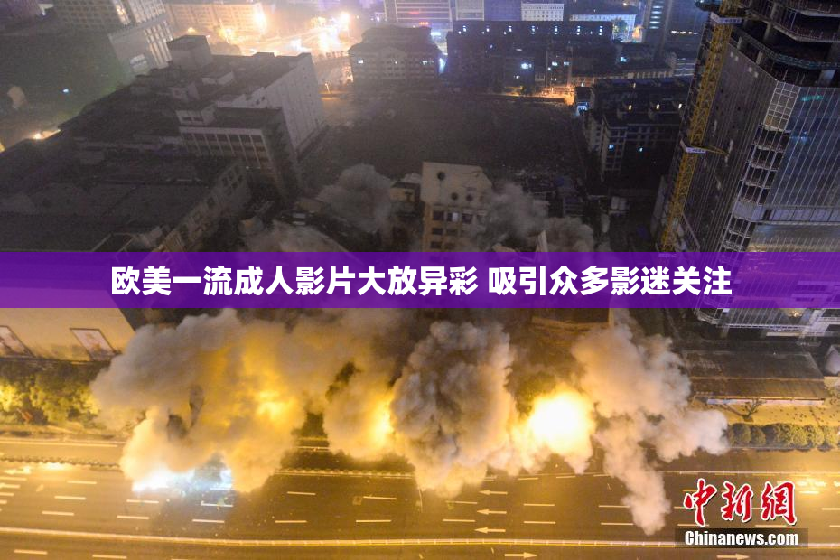 欧美一流成人影片大放异彩 吸引众多影迷关注
