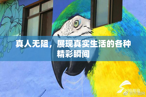 真人无阻，展现真实生活的各种精彩瞬间