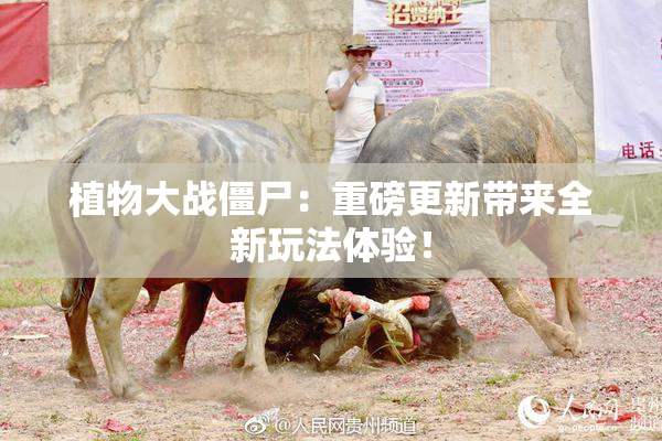植物大战僵尸：重磅更新带来全新玩法体验！
