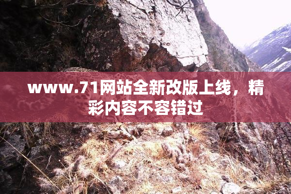 www.71网站全新改版上线，精彩内容不容错过