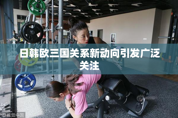 日韩欧三国关系新动向引发广泛关注