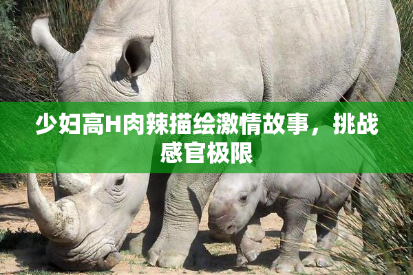 少妇高H肉辣描绘激情故事，挑战感官极限