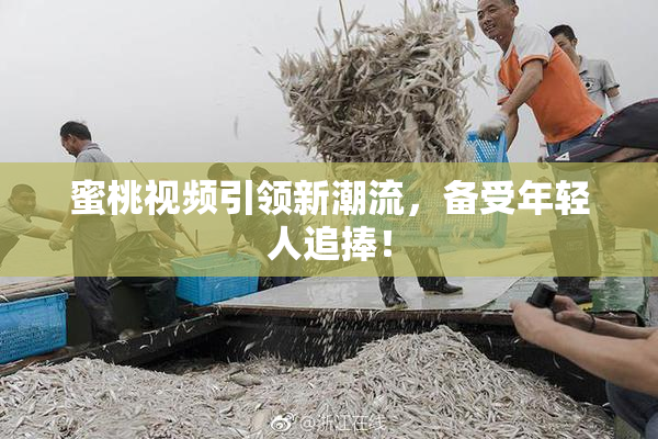 蜜桃视频引领新潮流，备受年轻人追捧！