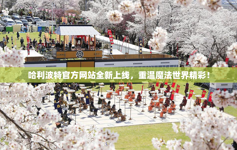哈利波特官方网站全新上线，重温魔法世界精彩！