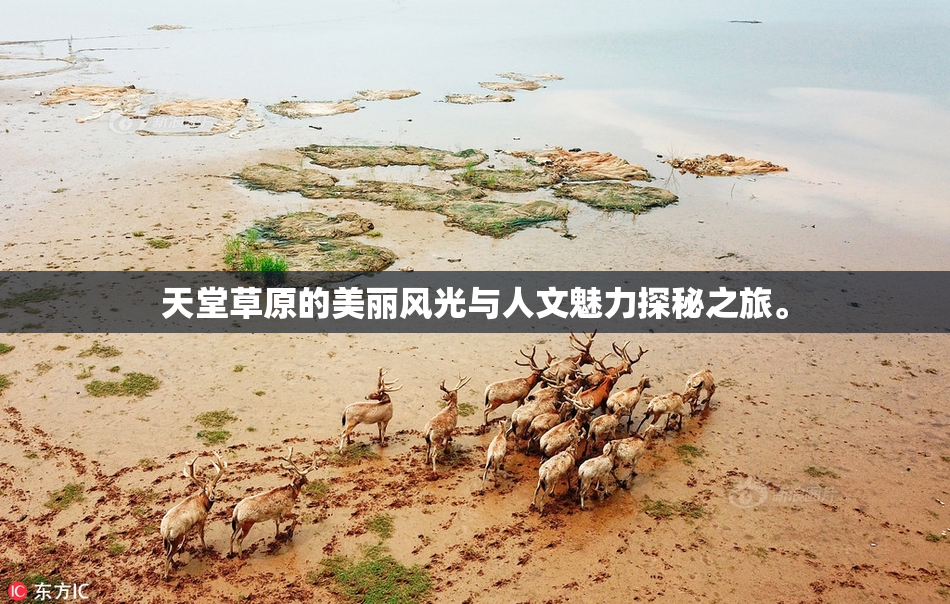 天堂草原的美丽风光与人文魅力探秘之旅。