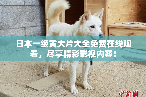日本一级黄大片大全免费在线观看，尽享精彩影视内容！