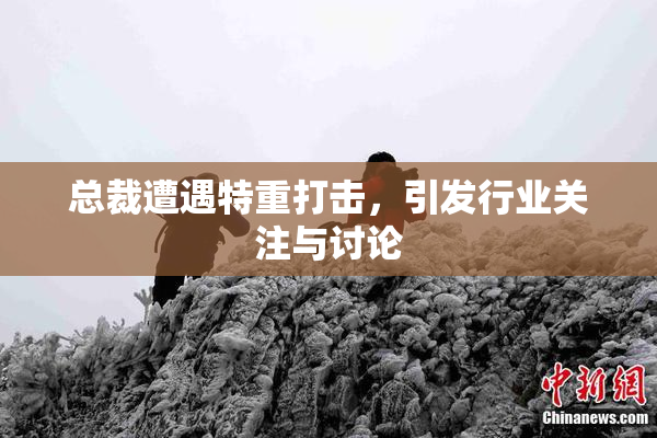 总裁遭遇特重打击，引发行业关注与讨论