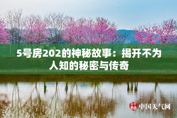 5号房202的神秘故事：揭开不为人知的秘密与传奇