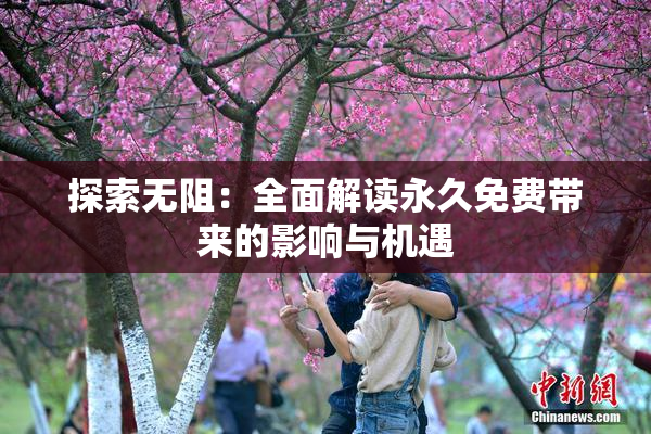 探索无阻：全面解读永久免费带来的影响与机遇
