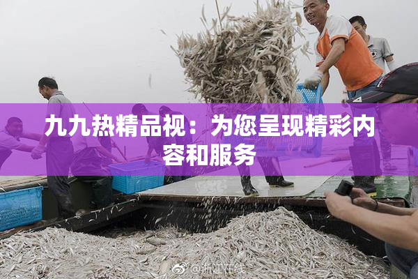 九九热精品视：为您呈现精彩内容和服务