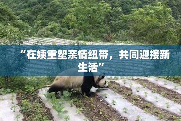 “在姨重塑亲情纽带，共同迎接新生活”