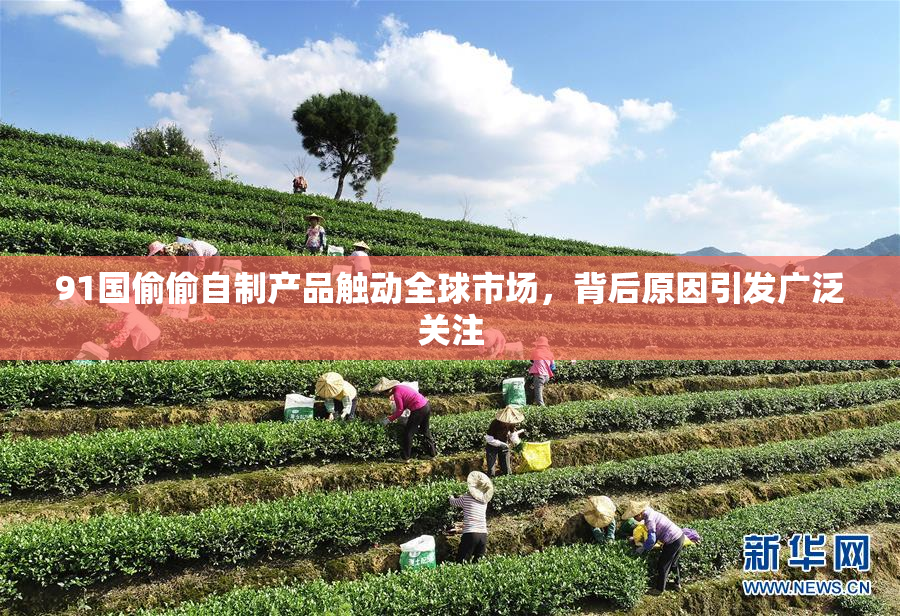 91国偷偷自制产品触动全球市场，背后原因引发广泛关注