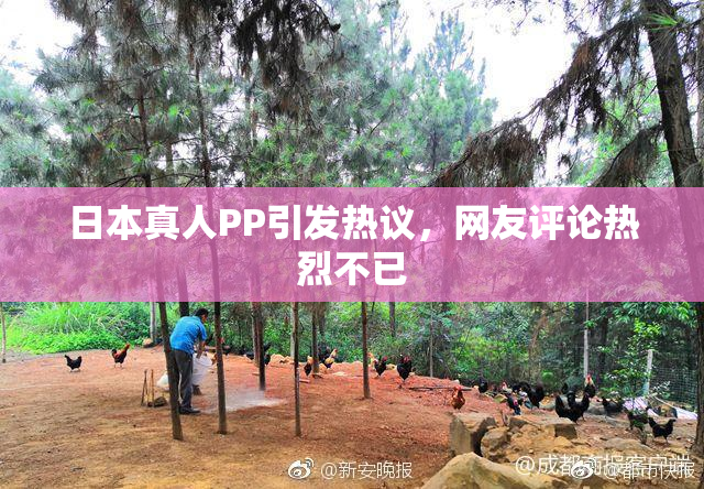 日本真人PP引发热议，网友评论热烈不已