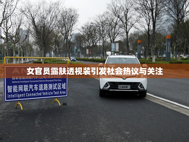 女官员露肤透视装引发社会热议与关注