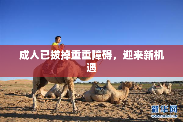 成人已拔掉重重障碍，迎来新机遇