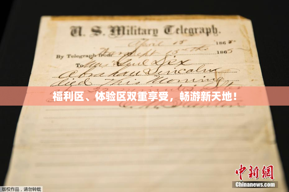 福利区、体验区双重享受，畅游新天地！