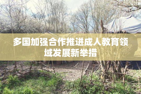 多国加强合作推进成人教育领域发展新举措