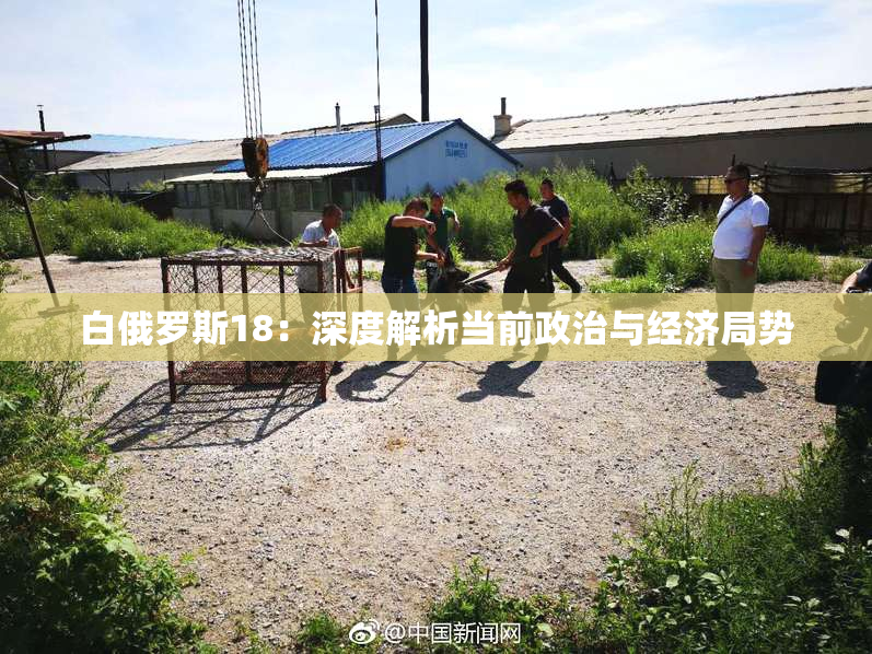 白俄罗斯18：深度解析当前政治与经济局势