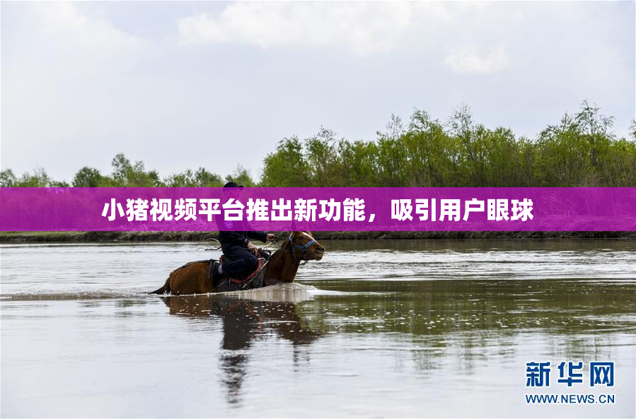 小猪视频平台推出新功能，吸引用户眼球