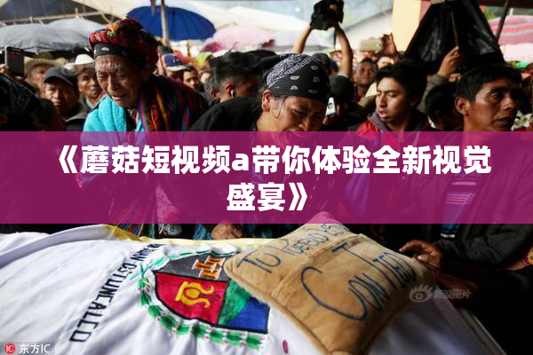 《蘑菇短视频a带你体验全新视觉盛宴》