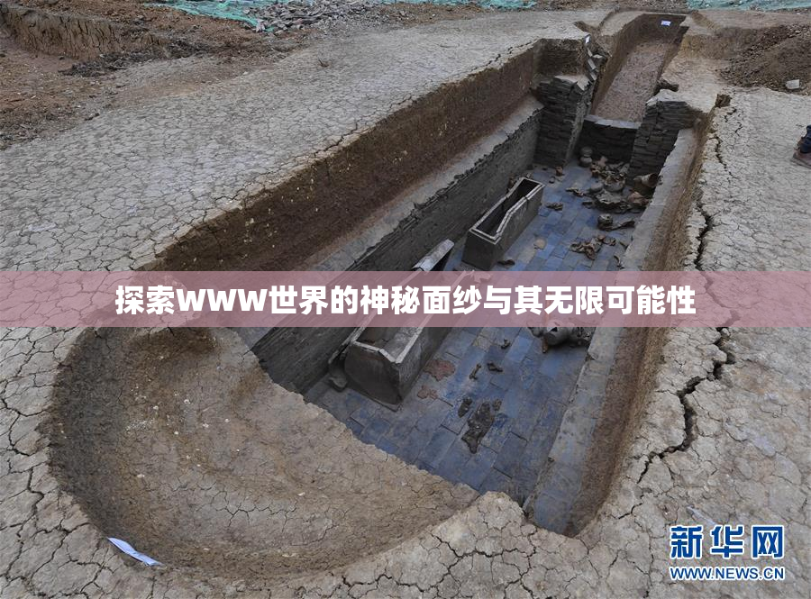 探索WWW世界的神秘面纱与其无限可能性
