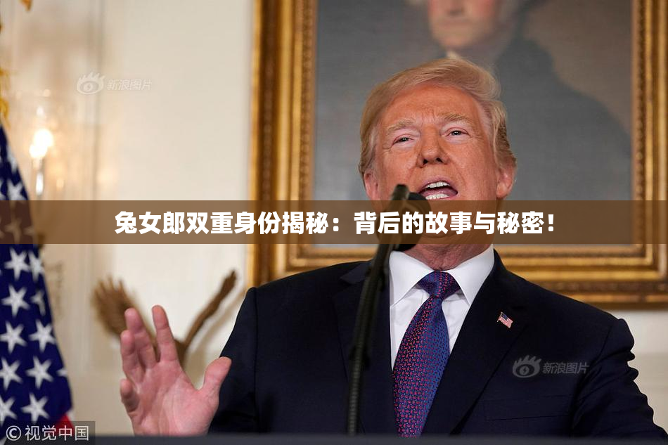 兔女郎双重身份揭秘：背后的故事与秘密！