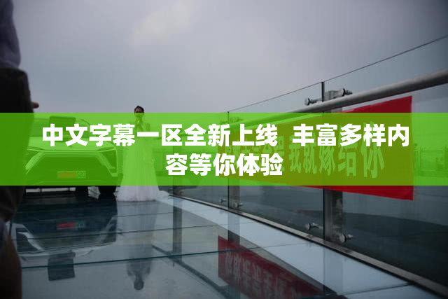中文字幕一区全新上线  丰富多样内容等你体验