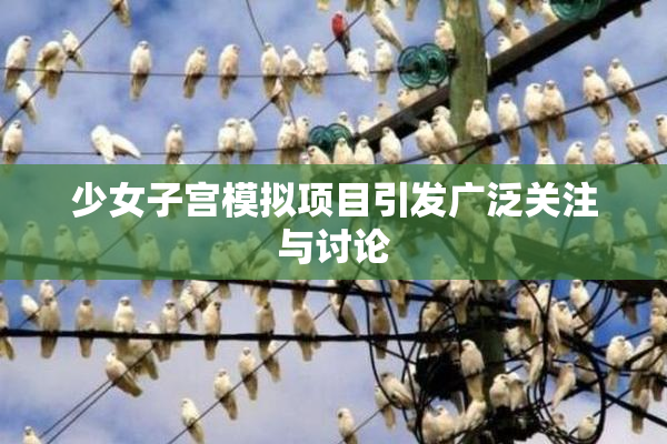 少女子宫模拟项目引发广泛关注与讨论