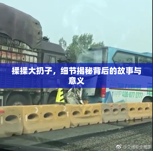 揉揉大扔子，细节揭秘背后的故事与意义