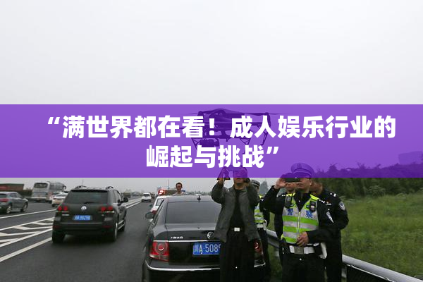 “满世界都在看！成人娱乐行业的崛起与挑战”