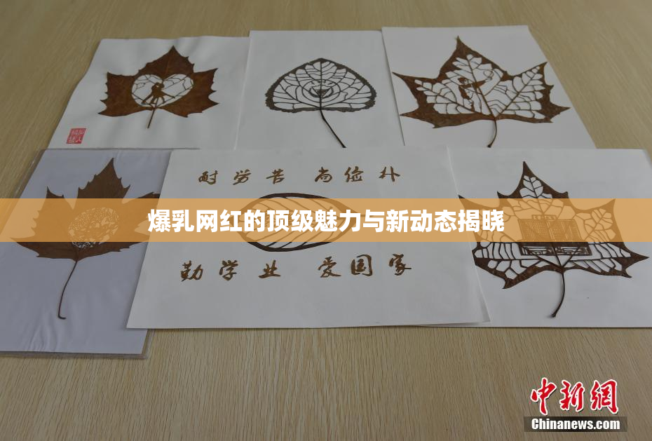 爆乳网红的顶级魅力与新动态揭晓