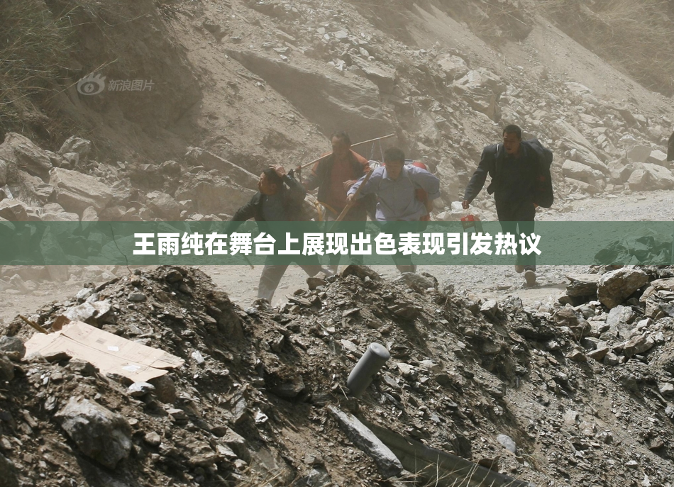 王雨纯在舞台上展现出色表现引发热议