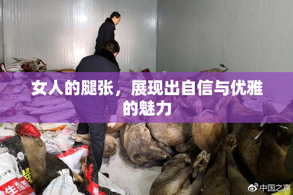 女人的腿张，展现出自信与优雅的魅力
