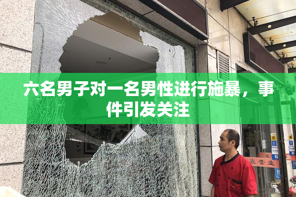 六名男子对一名男性进行施暴，事件引发关注