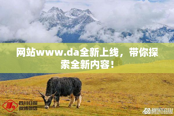 网站www.da全新上线，带你探索全新内容！