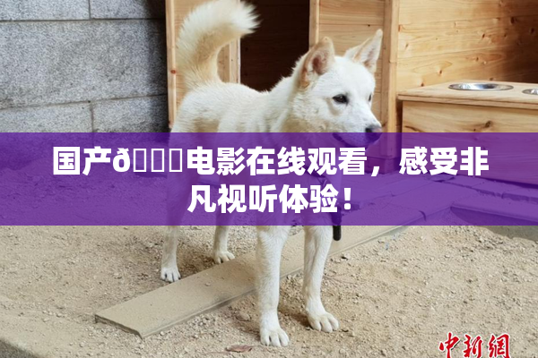 国产🔞电影在线观看，感受非凡视听体验！