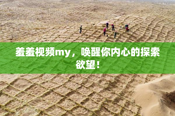 羞羞视频my，唤醒你内心的探索欲望！
