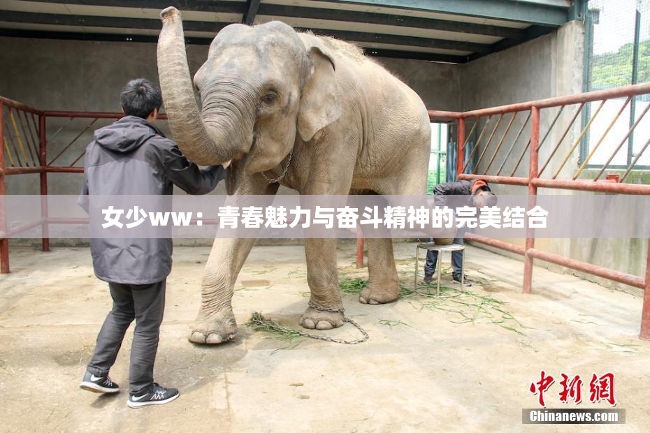 女少ww：青春魅力与奋斗精神的完美结合