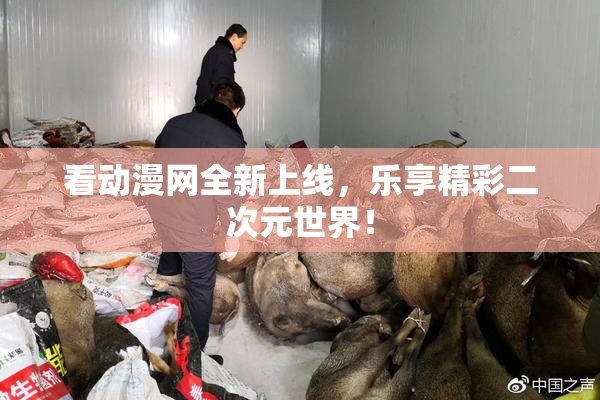 看动漫网全新上线，乐享精彩二次元世界！