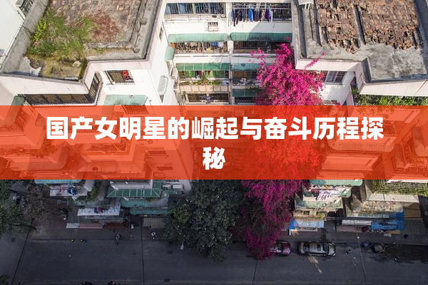 国产女明星的崛起与奋斗历程探秘