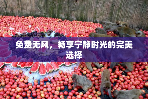 免费无风，畅享宁静时光的完美选择
