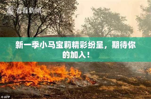 新一季小马宝莉精彩纷呈，期待你的加入！
