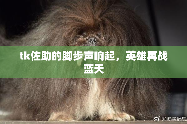 tk佐助的脚步声响起，英雄再战蓝天