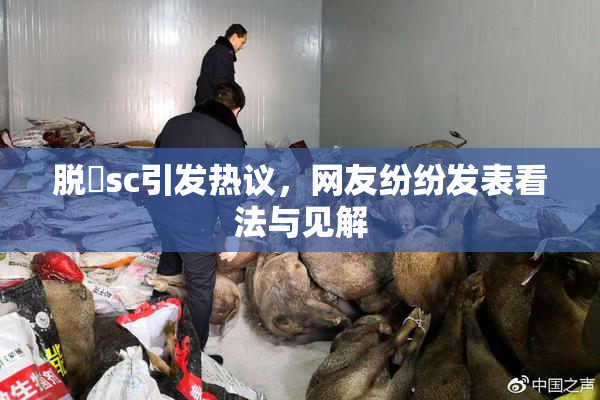 脱糞sc引发热议，网友纷纷发表看法与见解