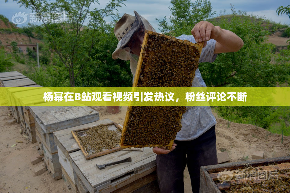 杨幂在B站观看视频引发热议，粉丝评论不断
