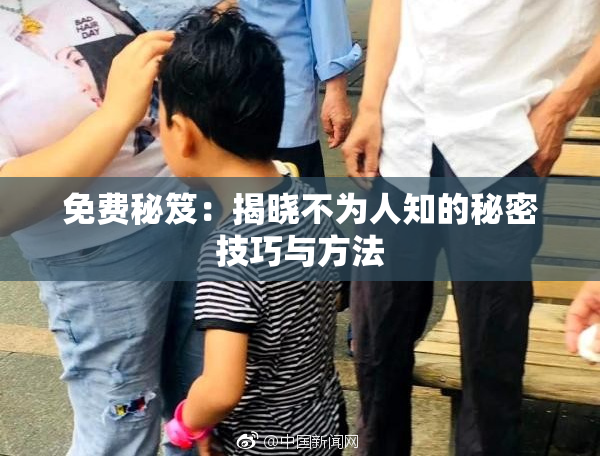 免费秘笈：揭晓不为人知的秘密技巧与方法