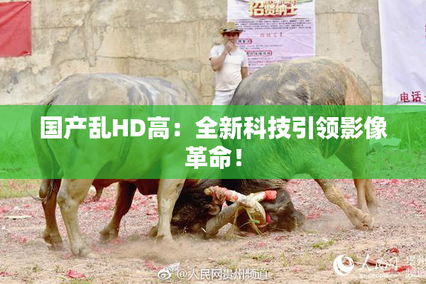 国产乱HD高：全新科技引领影像革命！